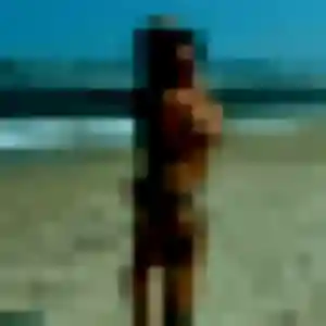 Photo sexy de Nicole, 40 ans à Saint-Estève - rencontre sans lendemain