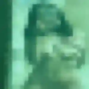 Sexy Estelle, 26 ans à Saint-Pierre-lès-Nemours - découvrir son profil