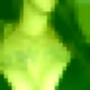 Photo exclusive de Sixtine, 33 ans à Sainte-Maxime - plan discret
