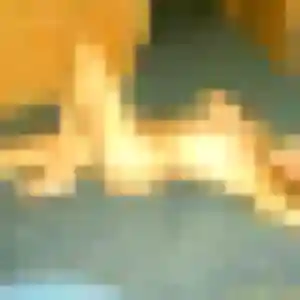 Sexy Gaia, 22 ans à Savenay - voir sa photo