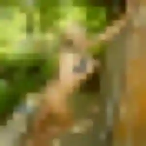 Photo privée de Suzanne, 33 ans à Séné - rencontre coquine