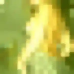Photo exclusive de Estelle, 38 ans à Tarare - rencontre coquine