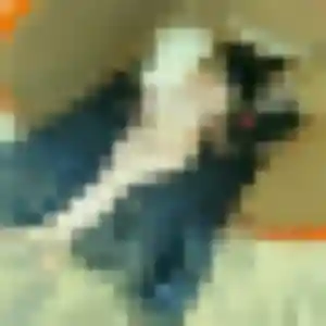 Lisette, femme de 21 ans cherche plan cul à Tassin-la-Demi-Lune