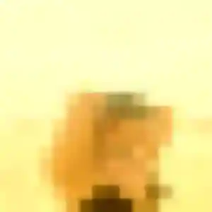 Photo exclusive de Nina, 33 ans à Thonon-les-Bains - rencontre sans lendemain