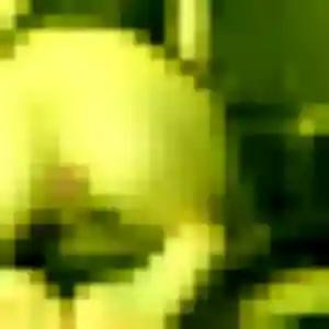 Sylvie, 37 ans, dispo pour plan cul à Tinqueux