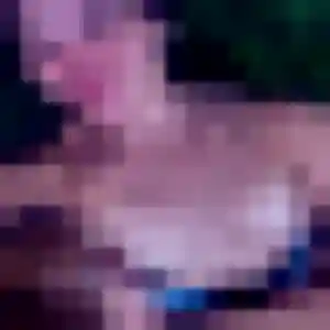 Photo de Candice à Urrugne (27 ans) - plan cul discret
