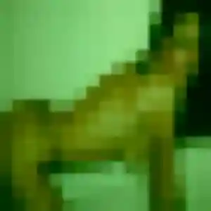 Nicole, 28 ans, connectée à Valence pour une rencontre coquine