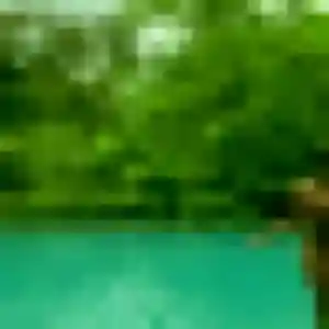 Nathalie, 41 ans, cherche un plan cul à Villemur-sur-Tarn