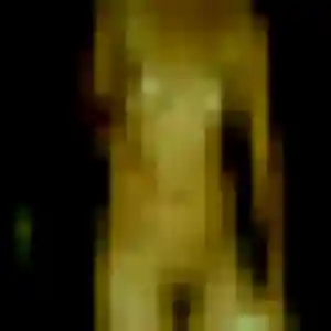 Profil de Severine à Villemur-sur-Tarn (40 ans) - plan cul anonyme