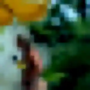 Profil de Marie-Jose à Wasquehal (43 ans) - plan cul gratuit