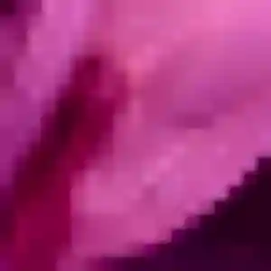 Leana, 42 ans, en ligne à Wervicq-Sud pour une rencontre coquine